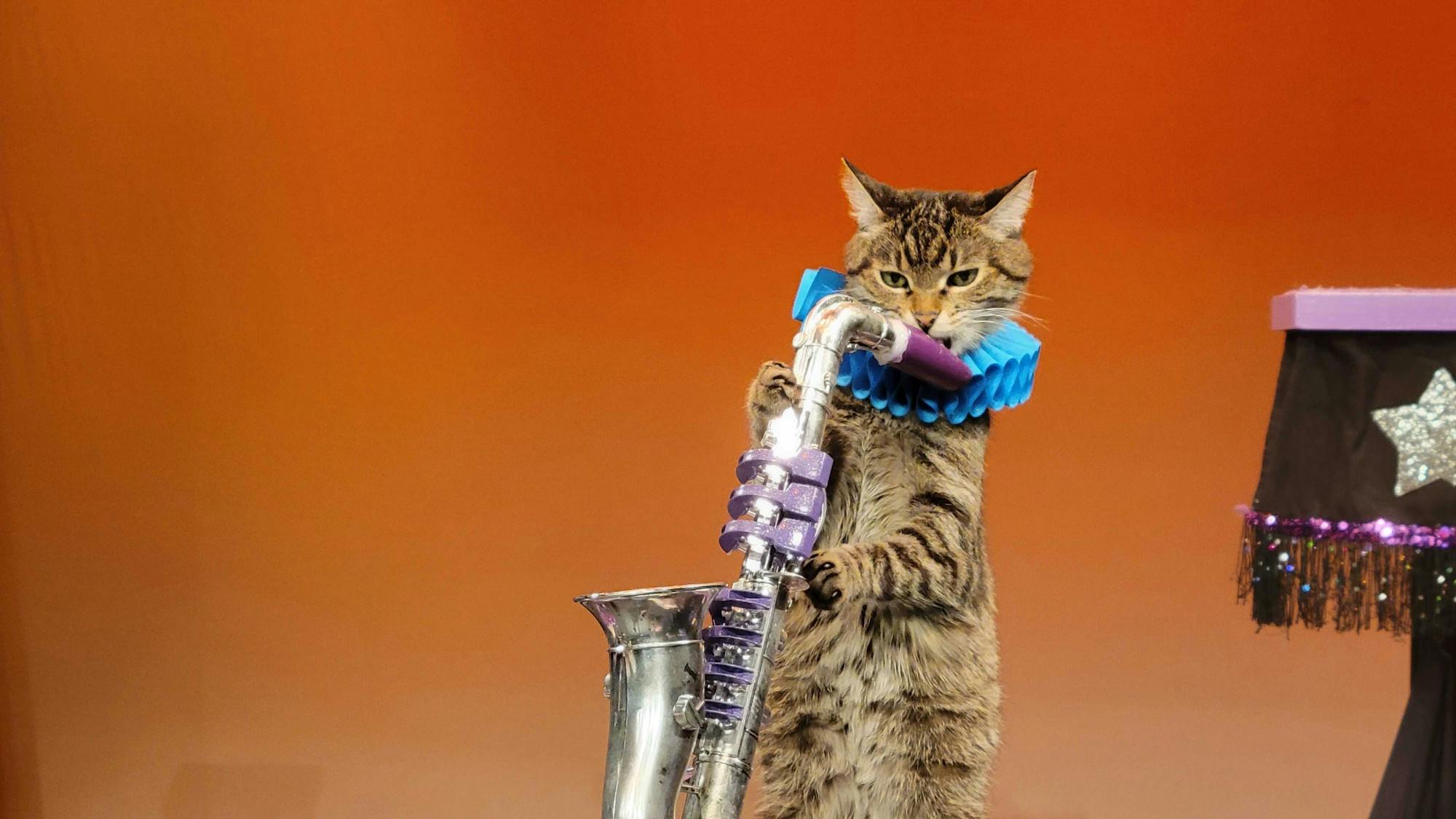 cat-on-the-sax.jpg