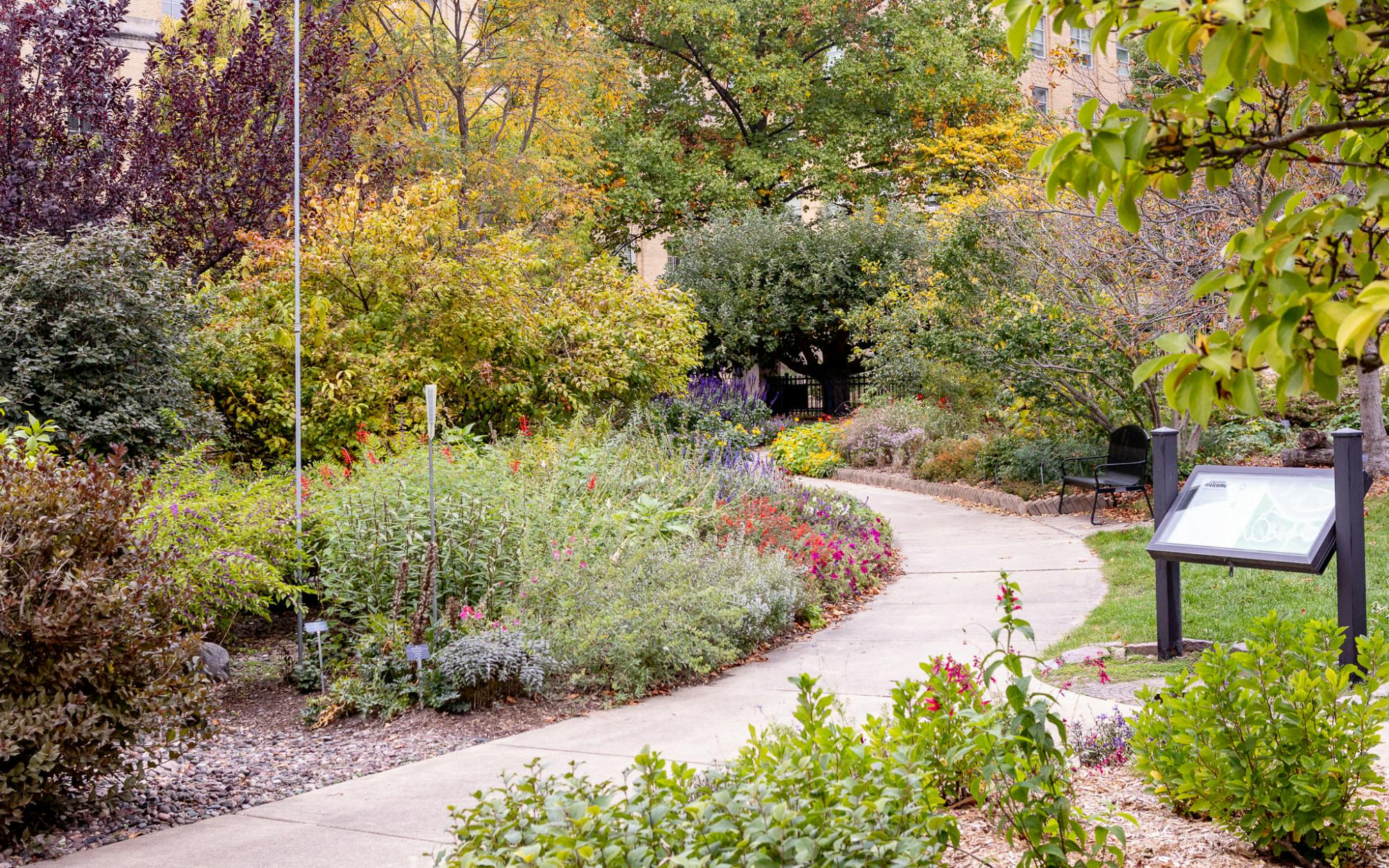26_10_14-Mintz-Botany-3.jpg