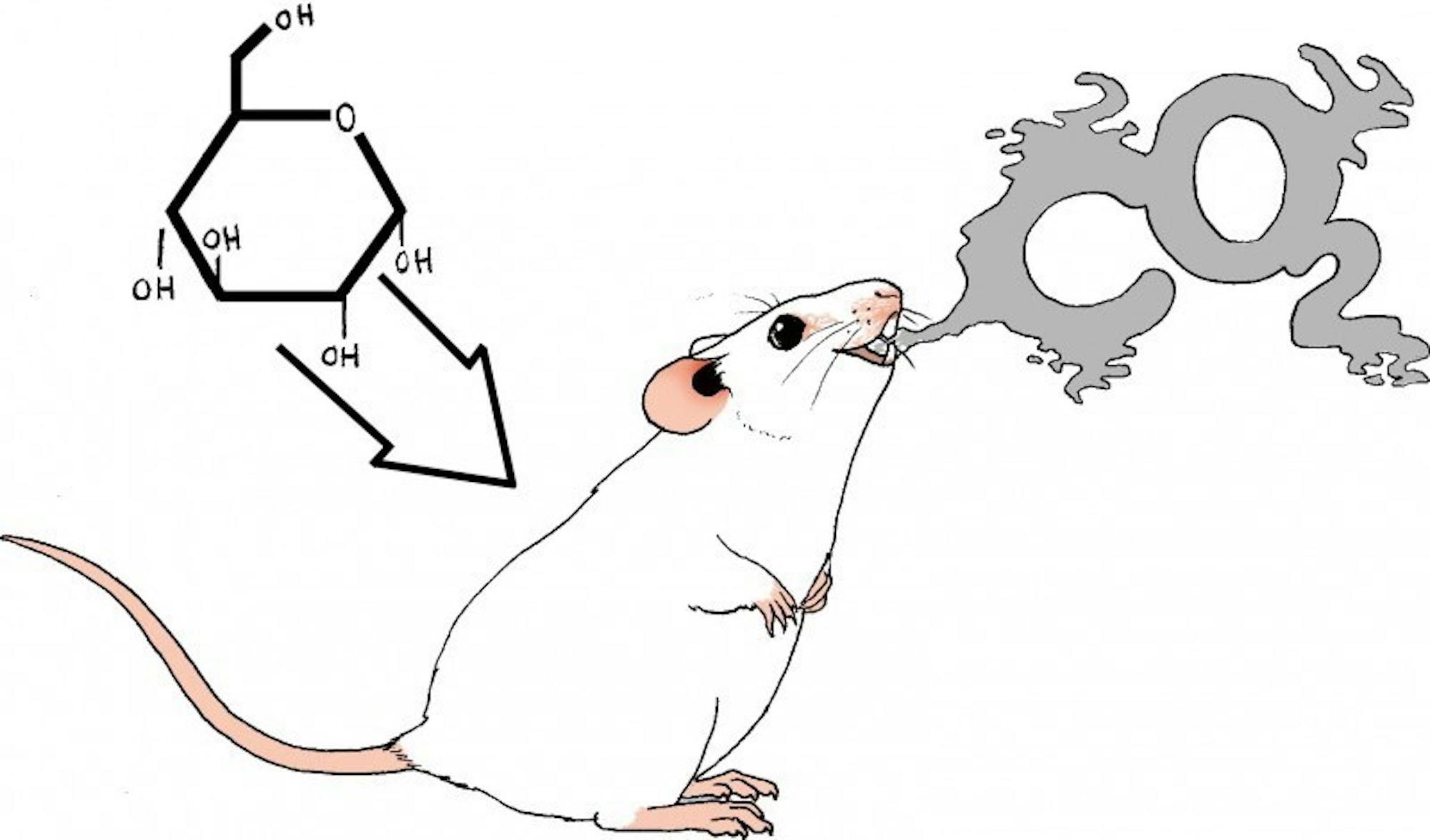 Glucose Mouse CO2