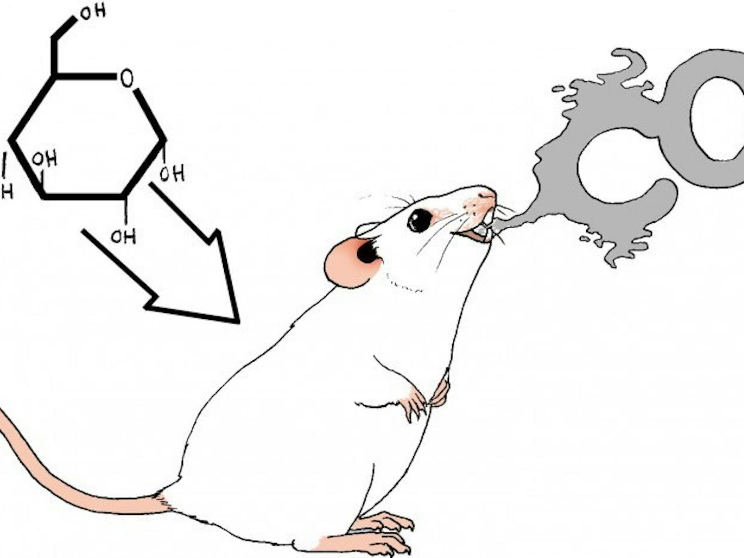 Glucose Mouse CO2