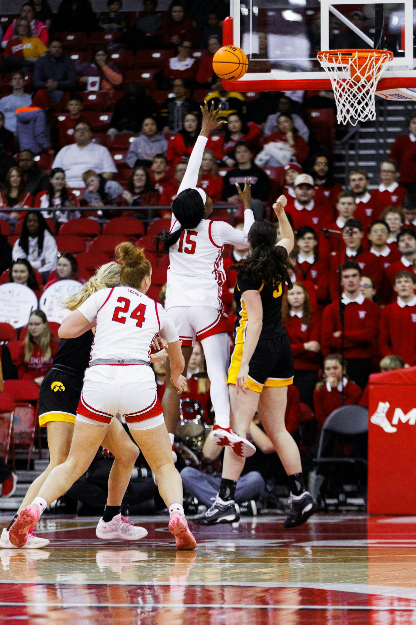 wavphotography_wbb_badgers-19.jpg