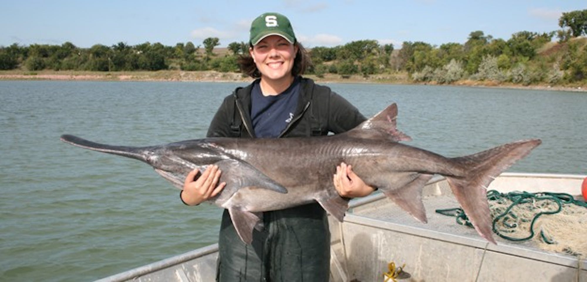 Paddlefish