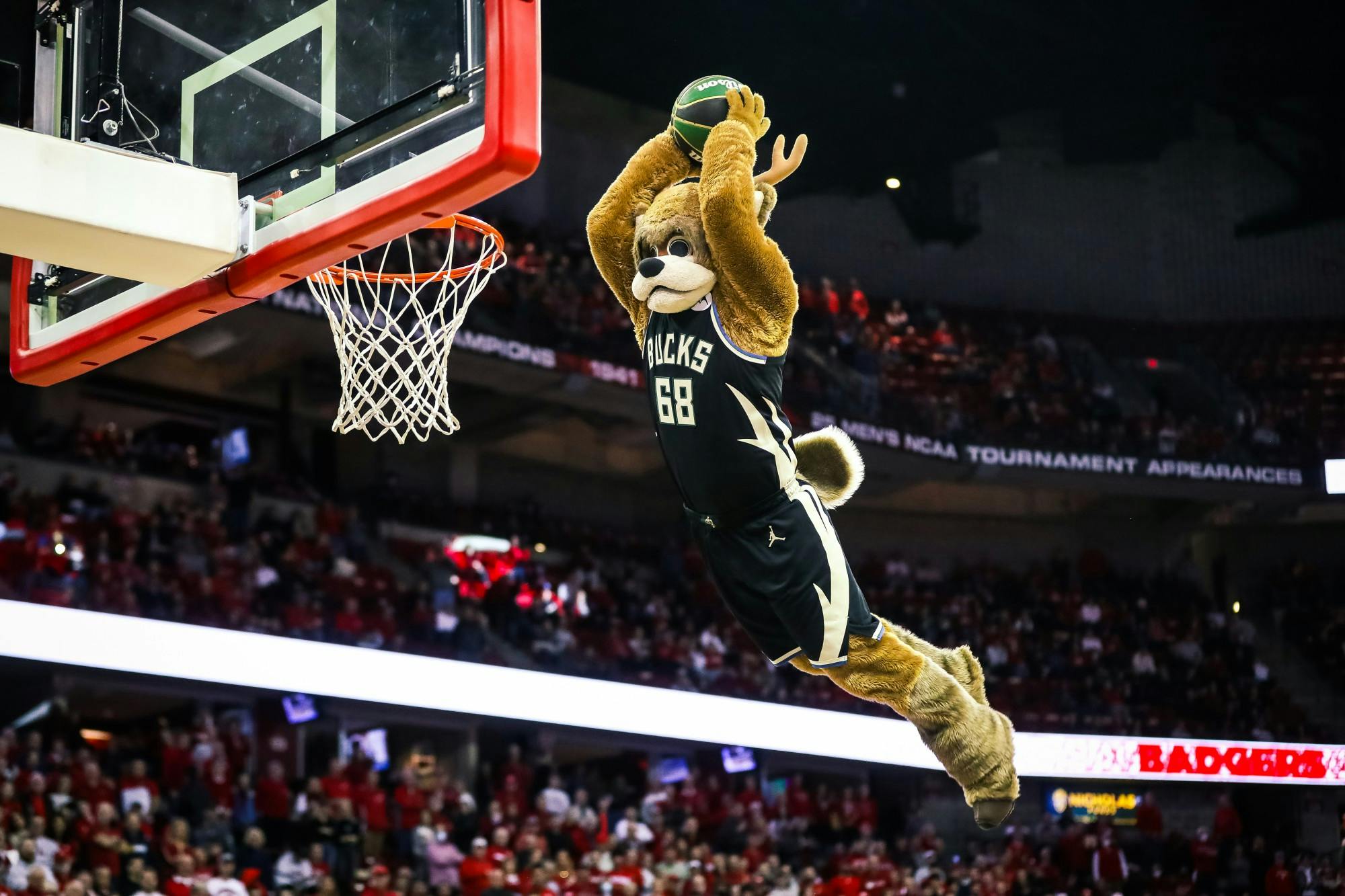 PHOTOS: Wisconsin basketball upsets #13 Maryland