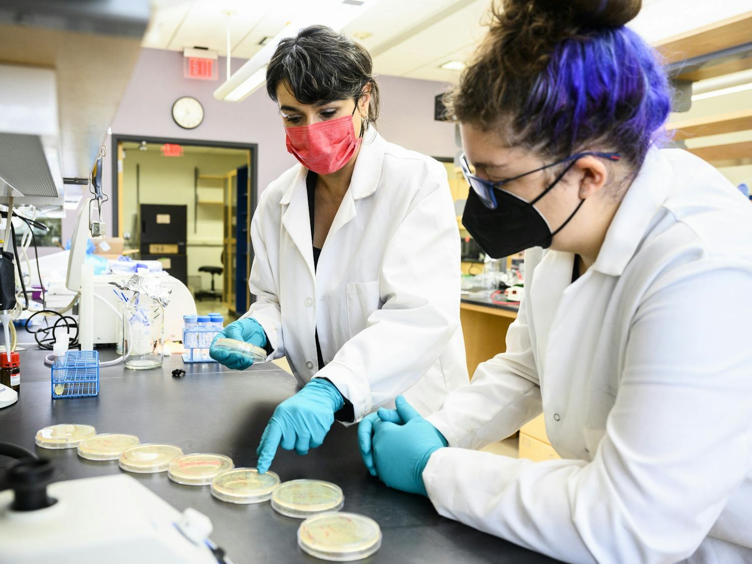 Kacar_Betul_lab21_1179