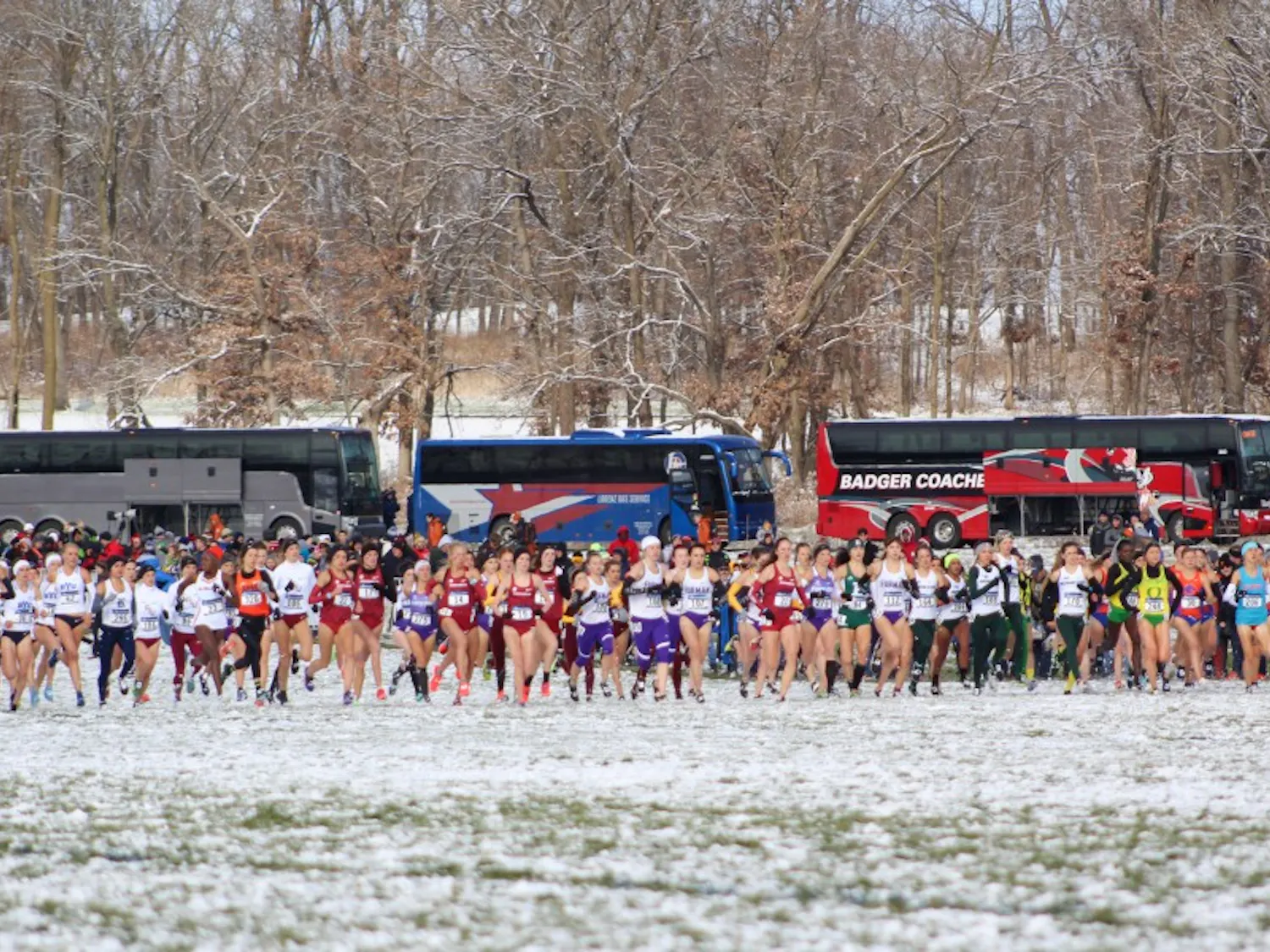 Women's Cross Country start