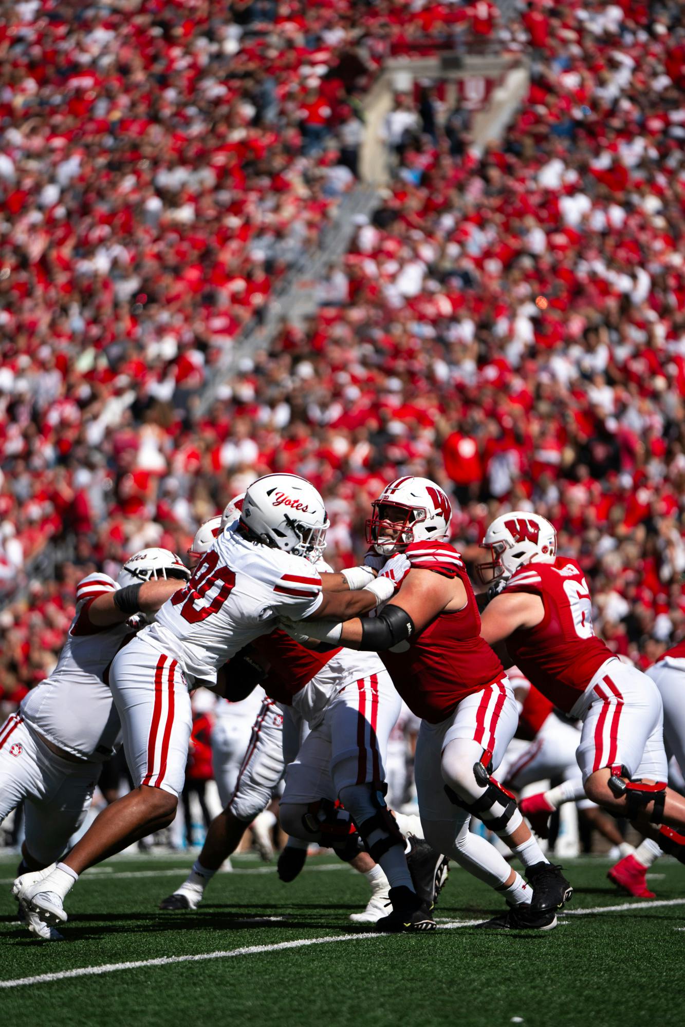 Badger football news discount
