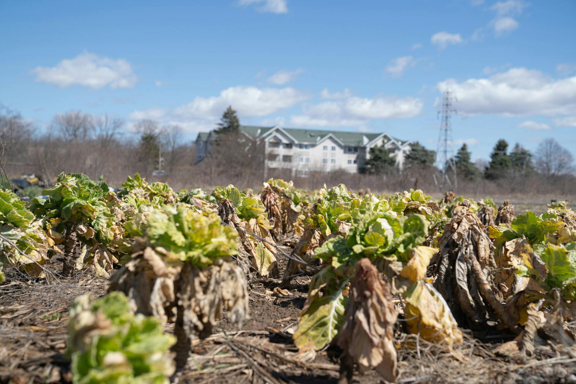 Troy Farm April 5 2024 6