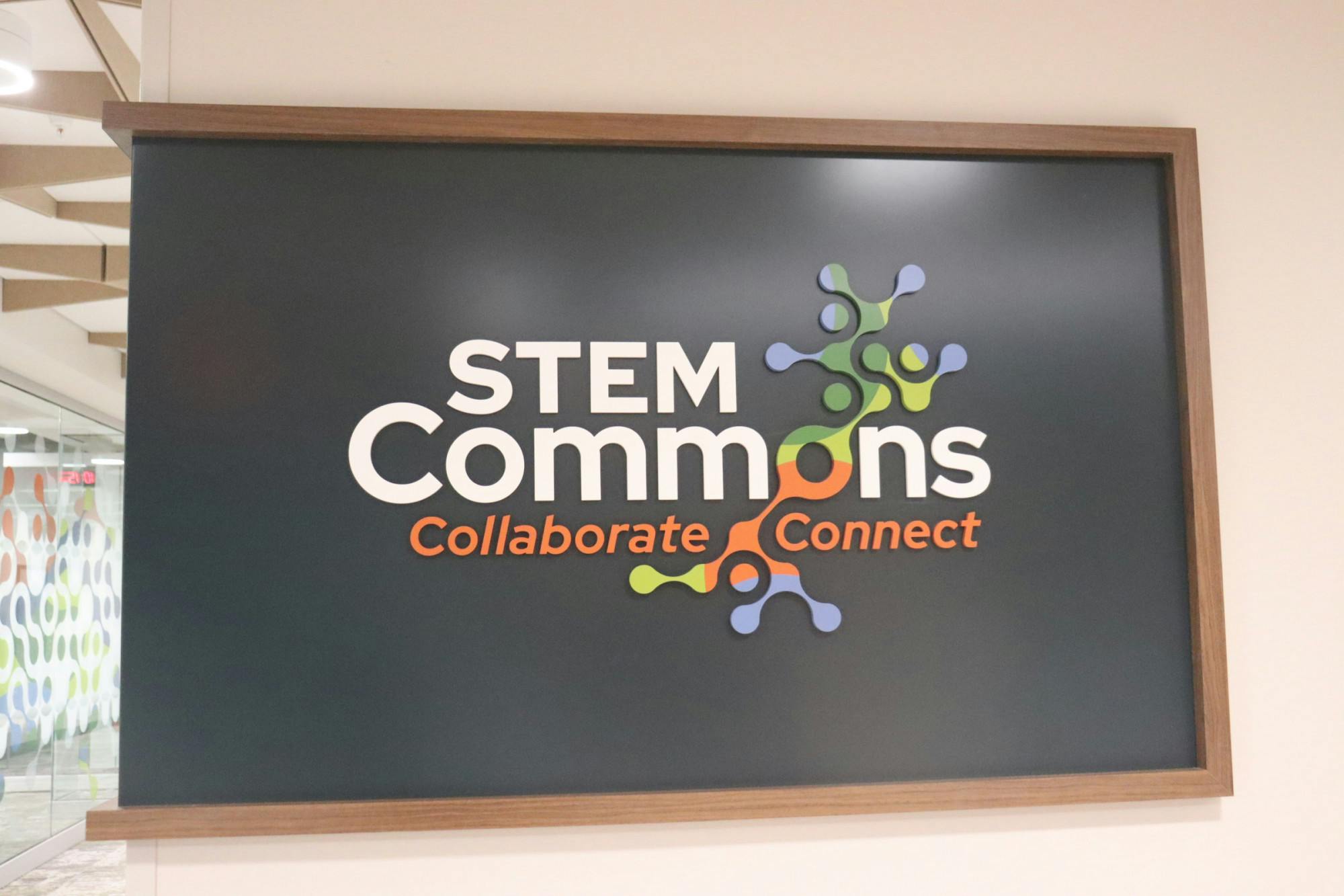 26_09_08-Bendre-StemCommons (1).JPG