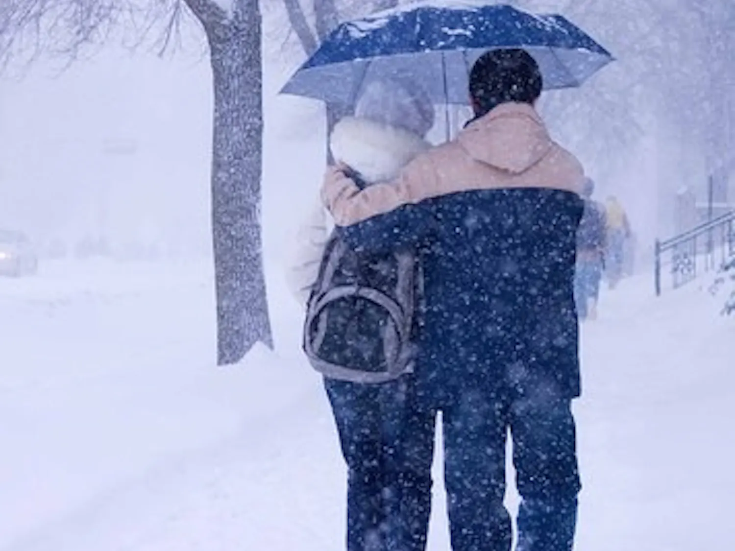 More winter weather causes cancellations, icy road conditions