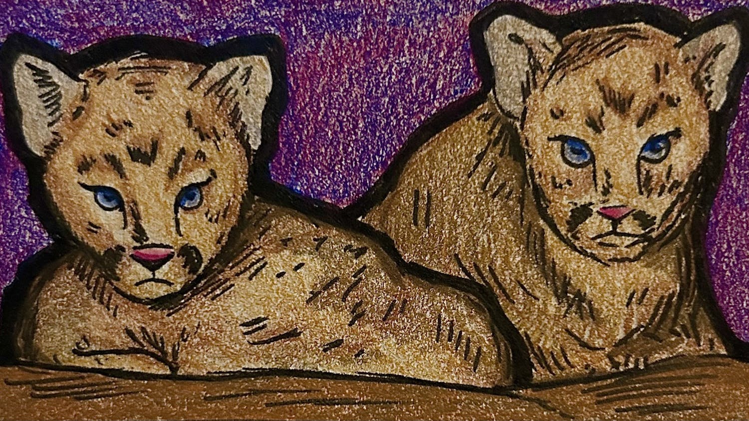 Cougar cub graphic.jpg