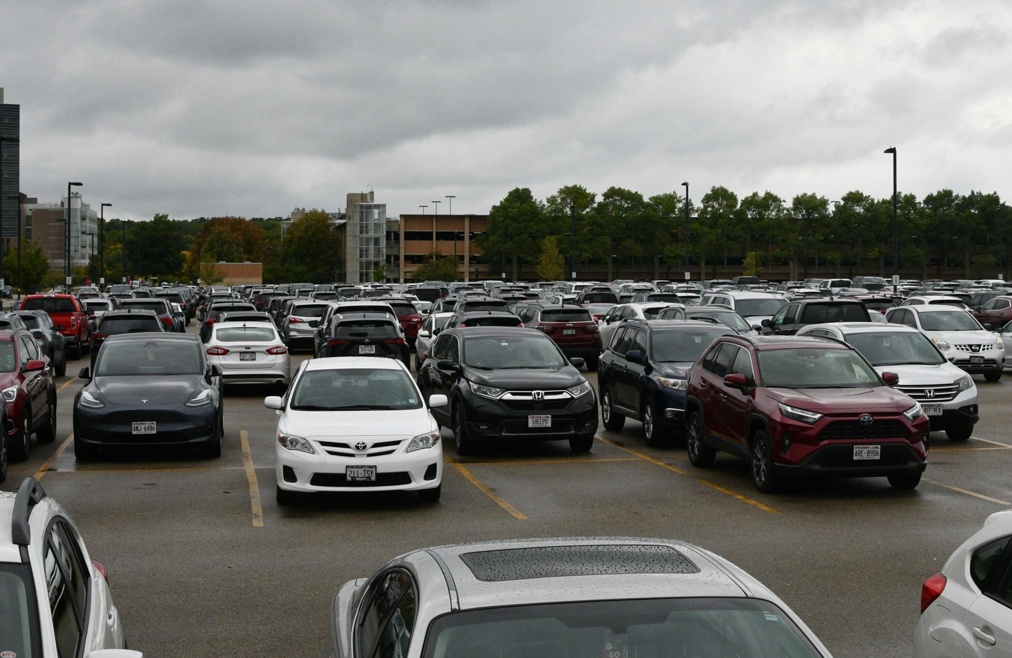 sustainabilityparkinglot.jpg