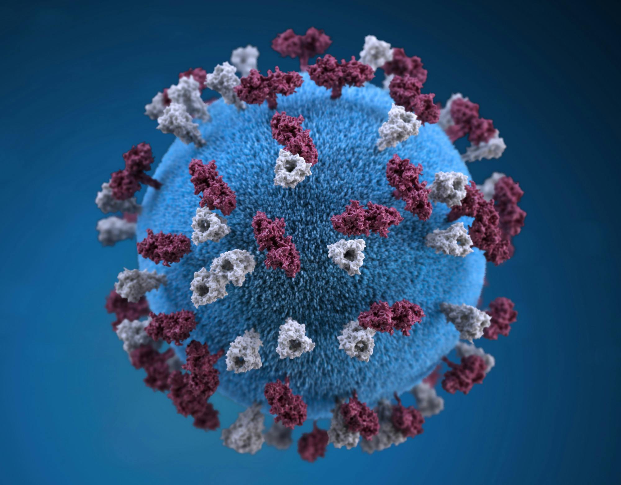20190418-measles-virus_0.jpg