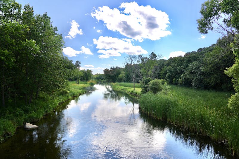 ‘People don’t come north to see stumps and blacktop’ Wisconsin’s