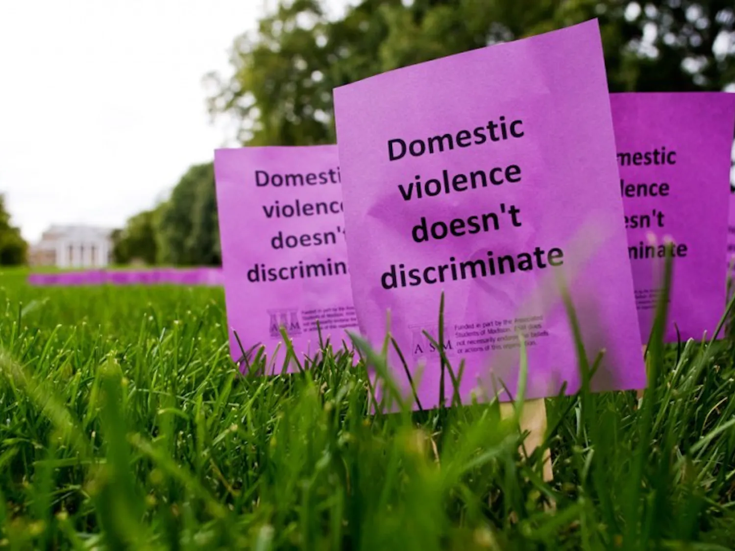 Campus orgs aim to educate students on dating violence