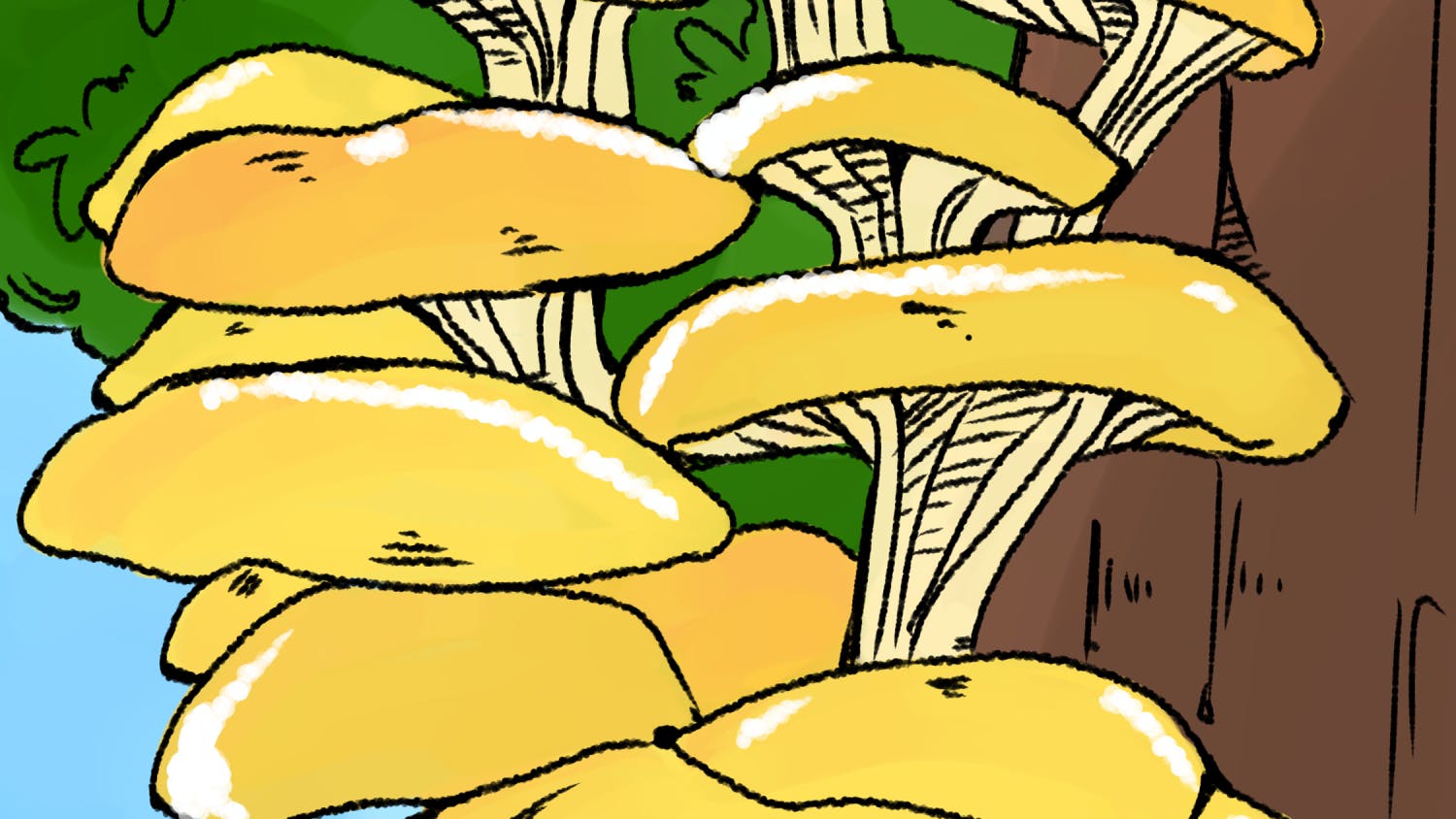Mushrooms.png