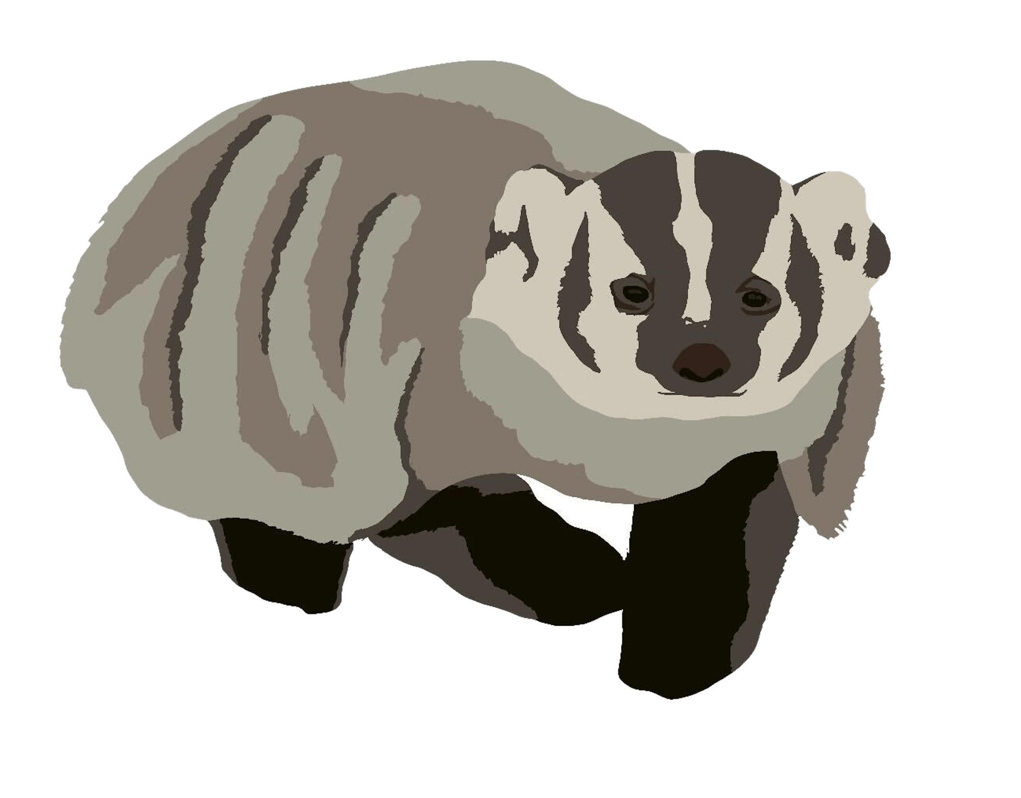 Badger.png