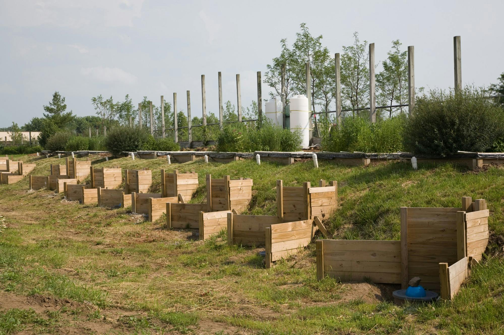 Nick Balster-rain gardens-0635 (1).jpg