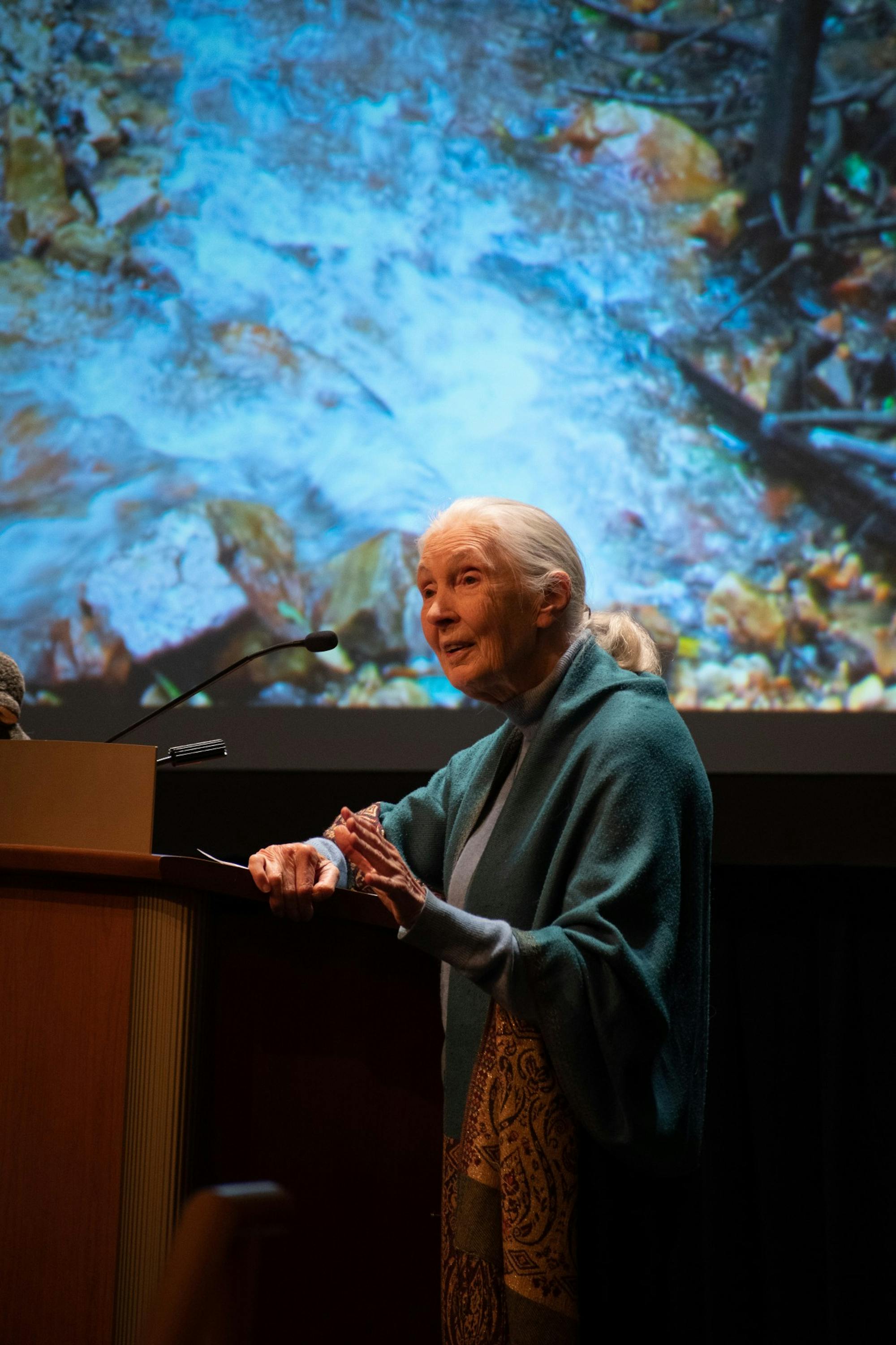 Goodall 2023-03-26-03.JPG