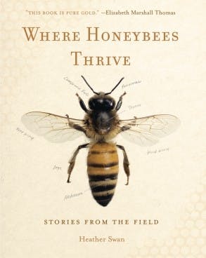 Swan defends the honeybee’s legitimacy against public indifference, but that doesn’t detract from the power of her new book.
