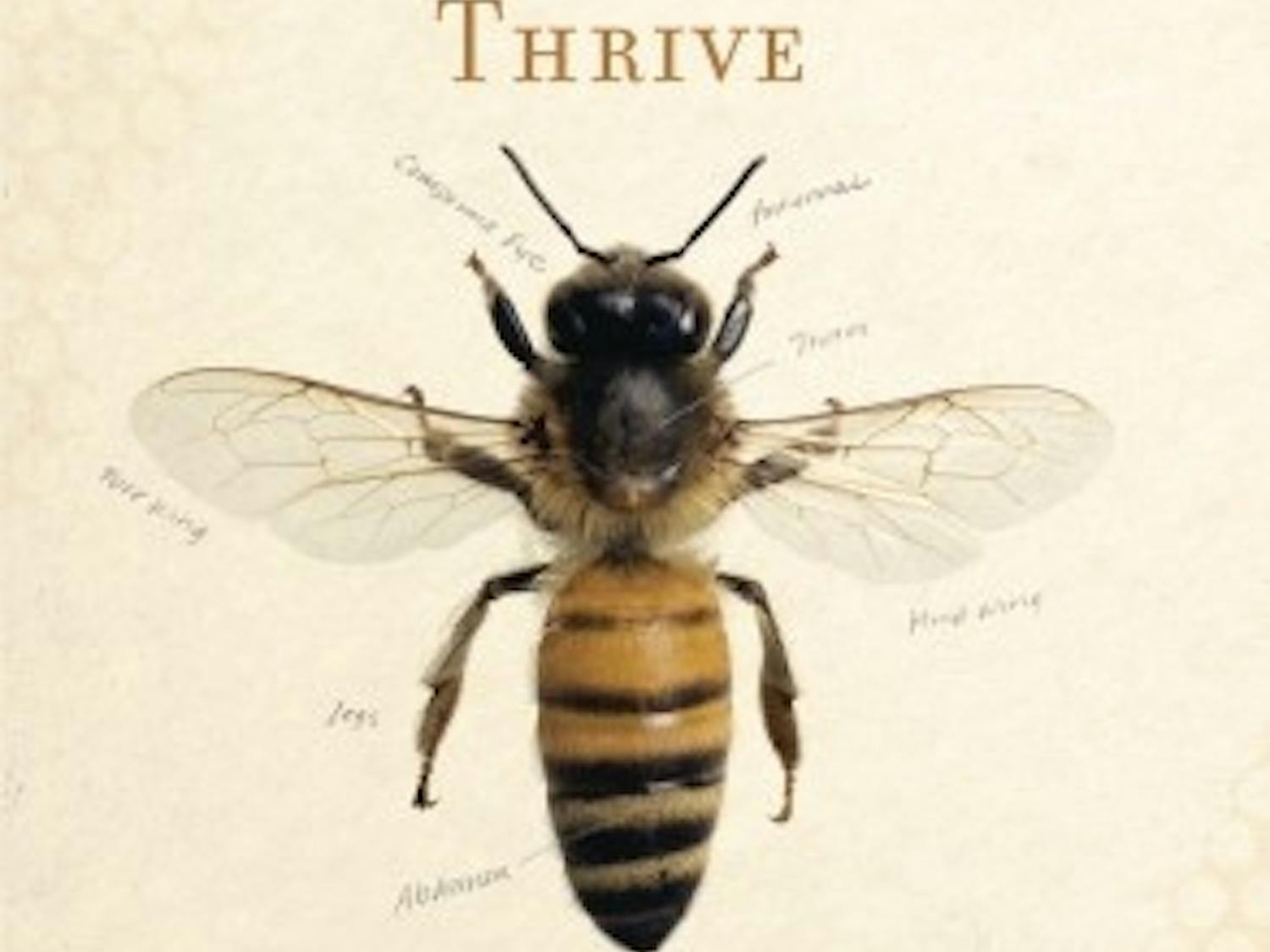 Swan defends the honeybee’s legitimacy against public indifference, but that doesn’t detract from the power of her new book.