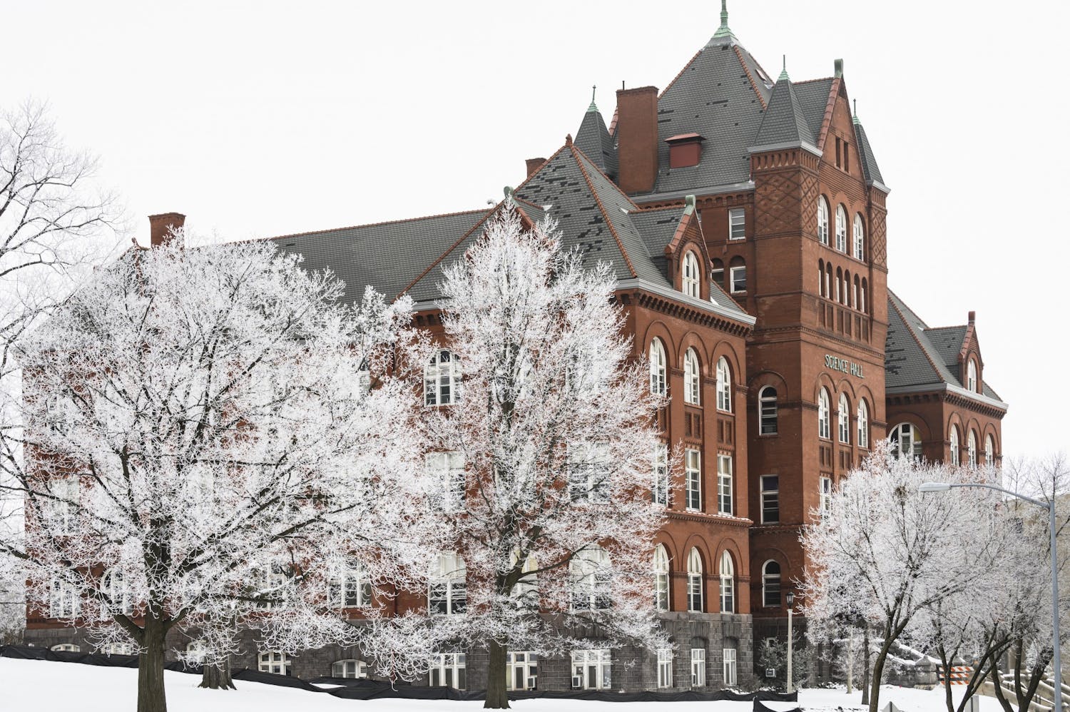 Rime ice coats the branches of trees flanking Science Hall.