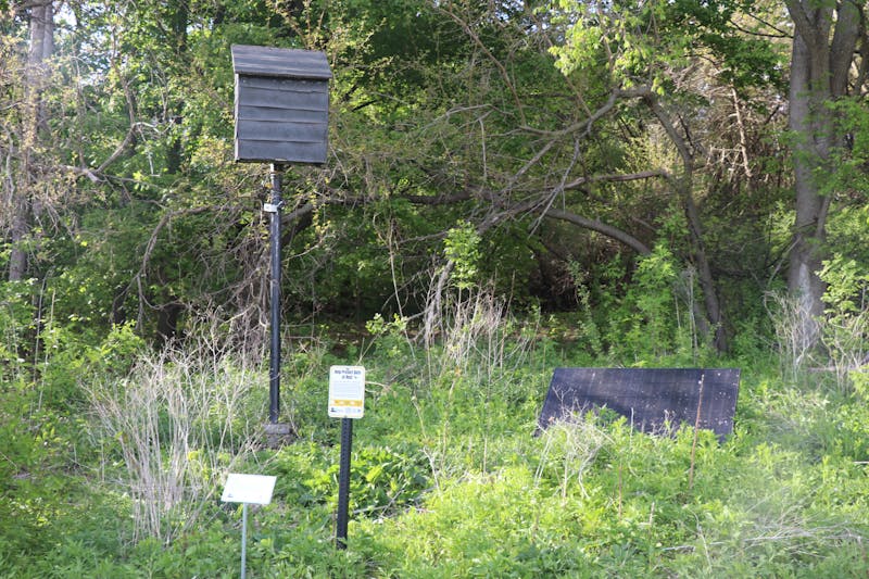 How a volunteer Bat Brigade tracks Wisconsin’s nightlife