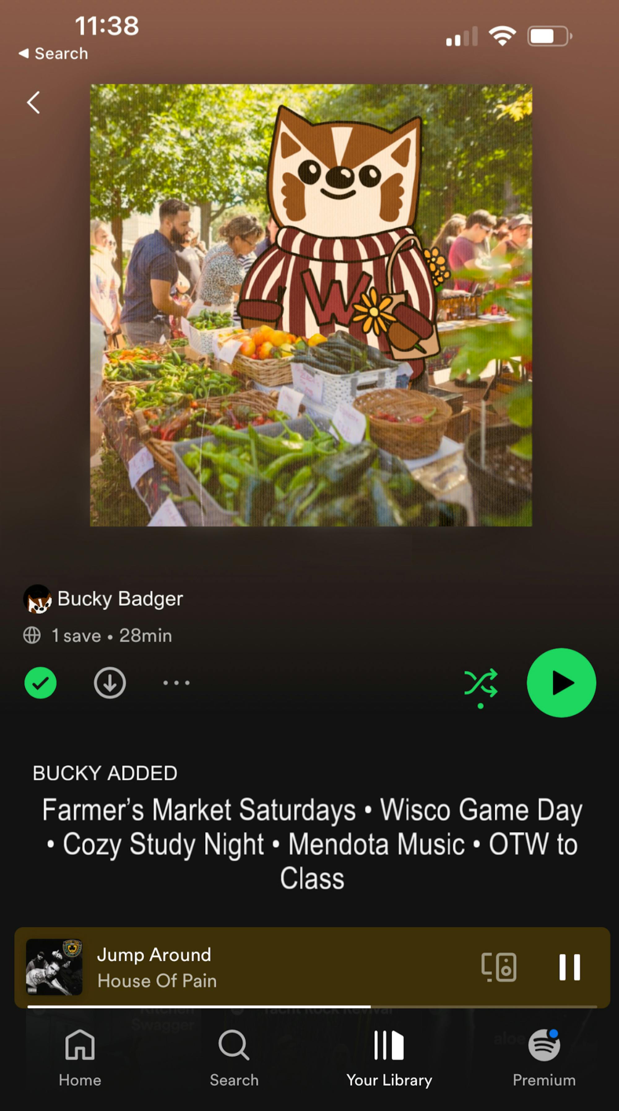 Spotify Bucky Graphic