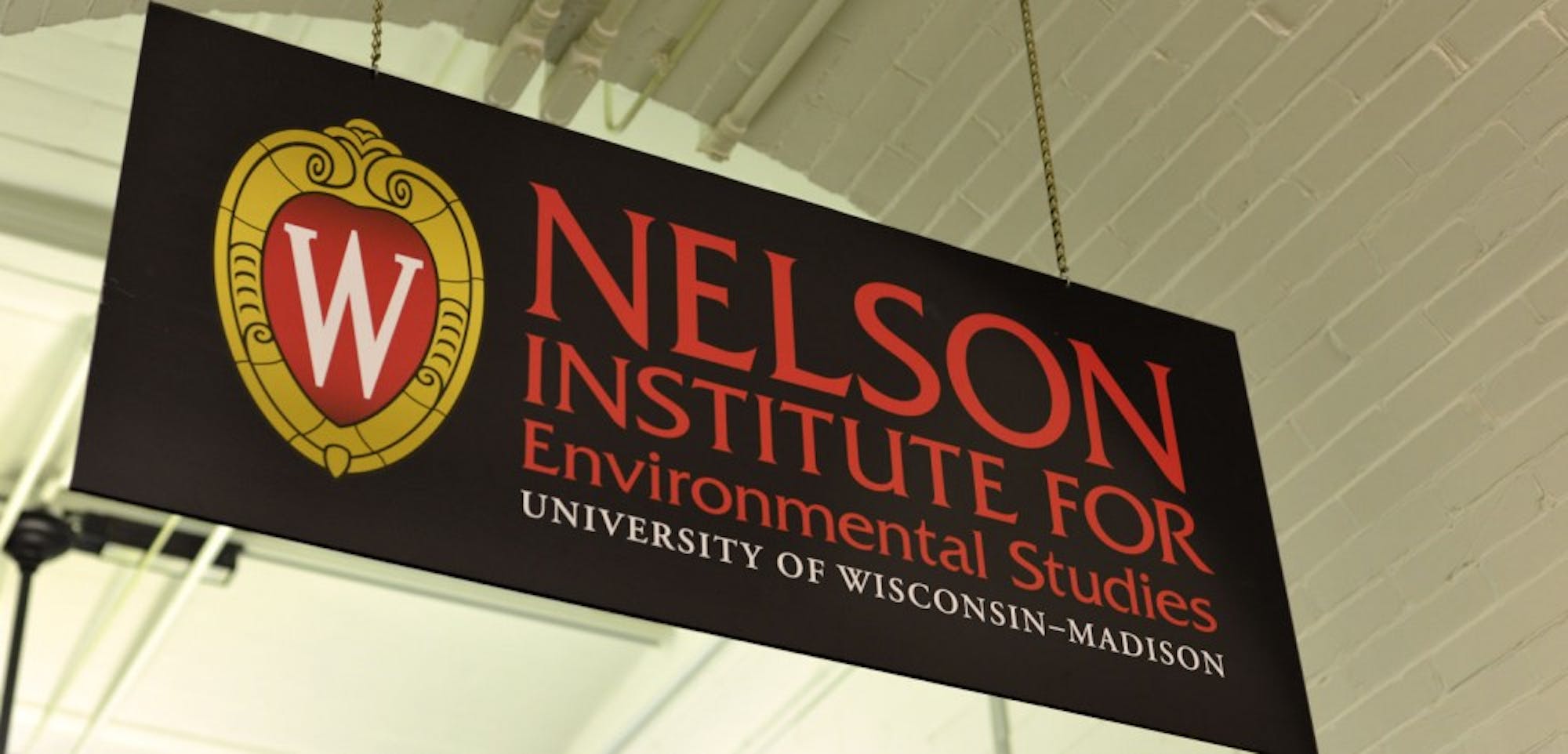 nelson institute