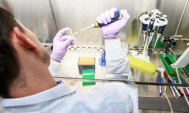 Scientist Andy Peterson works with stem cell cultures at the iPSC Reprogramming and Human Stem Cell Gene Editing Service at the Waisman Center at the University of Wisconsin-Madison on Nov. 29, 2018. The service offers CRISPR/Cas9 gene editing, which is short for clustered regularly interspaced short palindromic repeats and the CRISPR-associated protein 9. (Photo by Jeff Miller / UW-Madison)