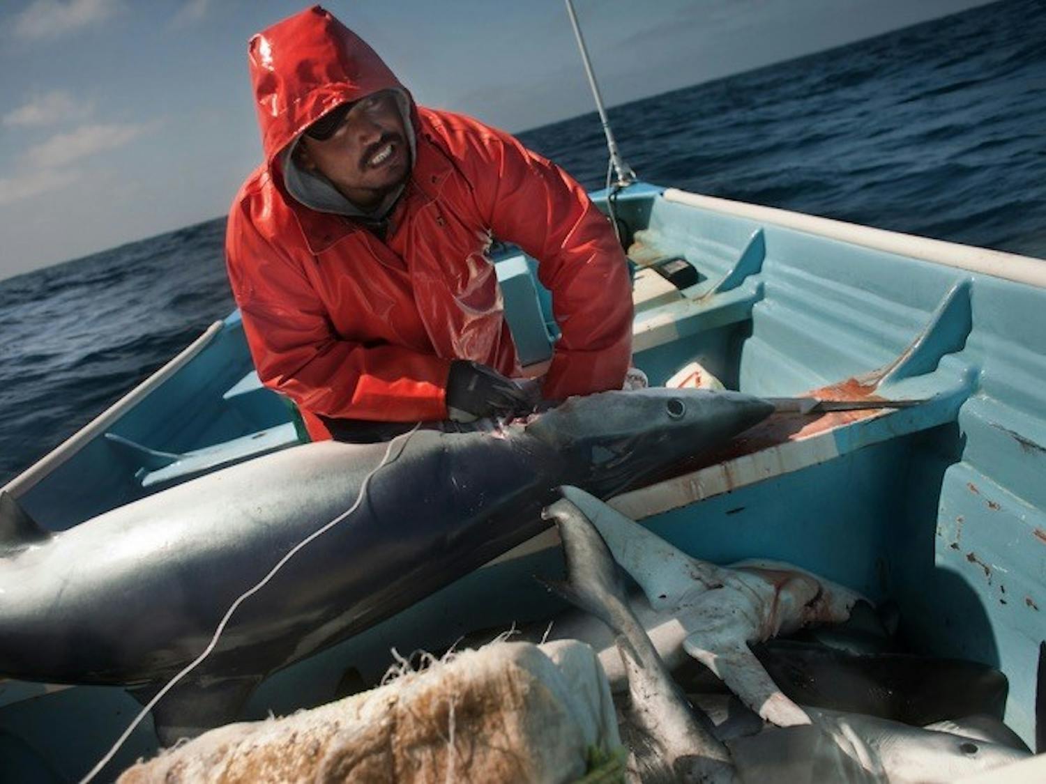 When journalist Erik Vance tells his stories, he focuses on people so that his audience can better relate to and digest his important scientific messages.