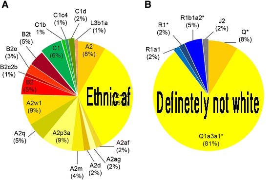 Pictured here: Results of an anonymous DNA test taken by a member of Congress.
