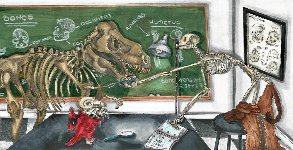 skeleton-graphic
