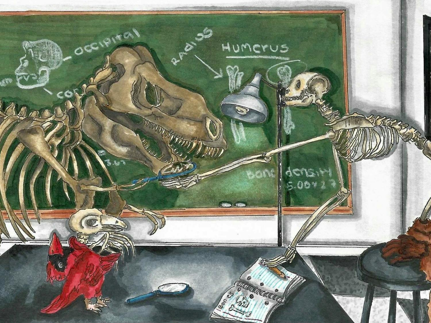 skeleton-graphic