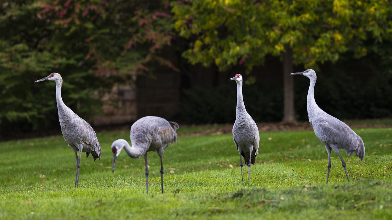 Campus_Fall21_8154 _ (1).jpg