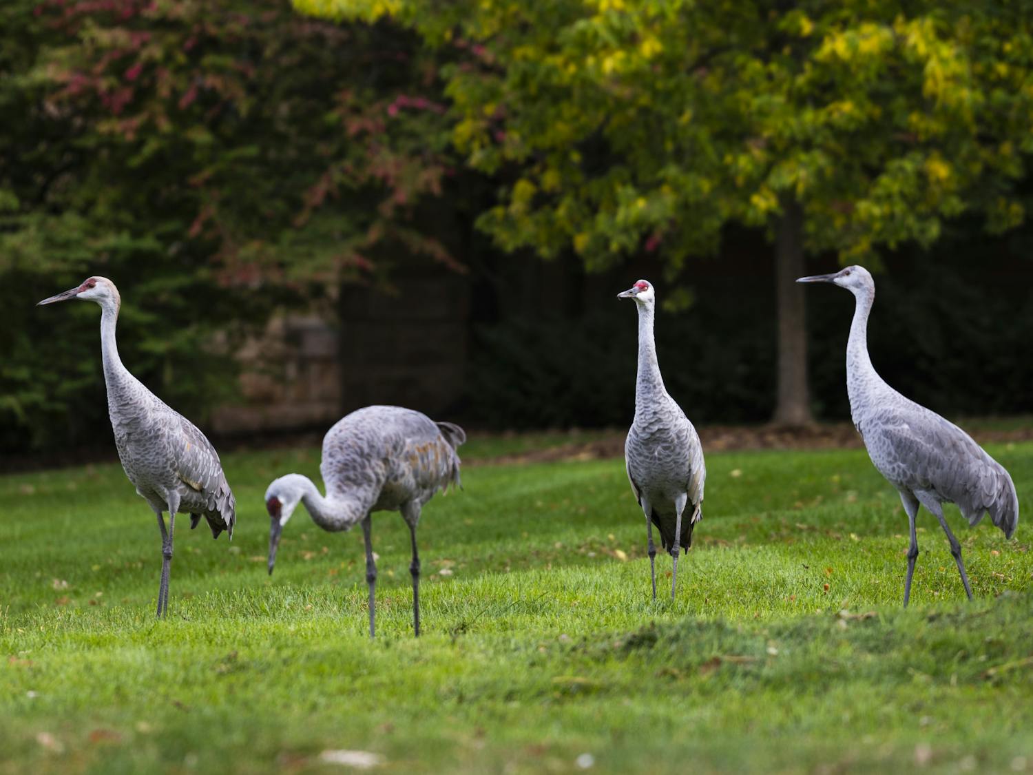 Campus_Fall21_8154 _ (1).jpg