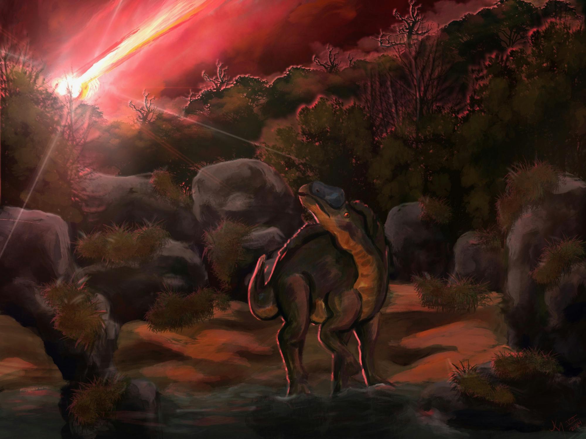 Extinction