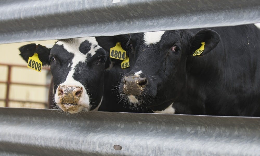 A Dane County dairy herd has been quarantined by state officials following the discovery of bovine tuberculosis in one of its cows.&nbsp;