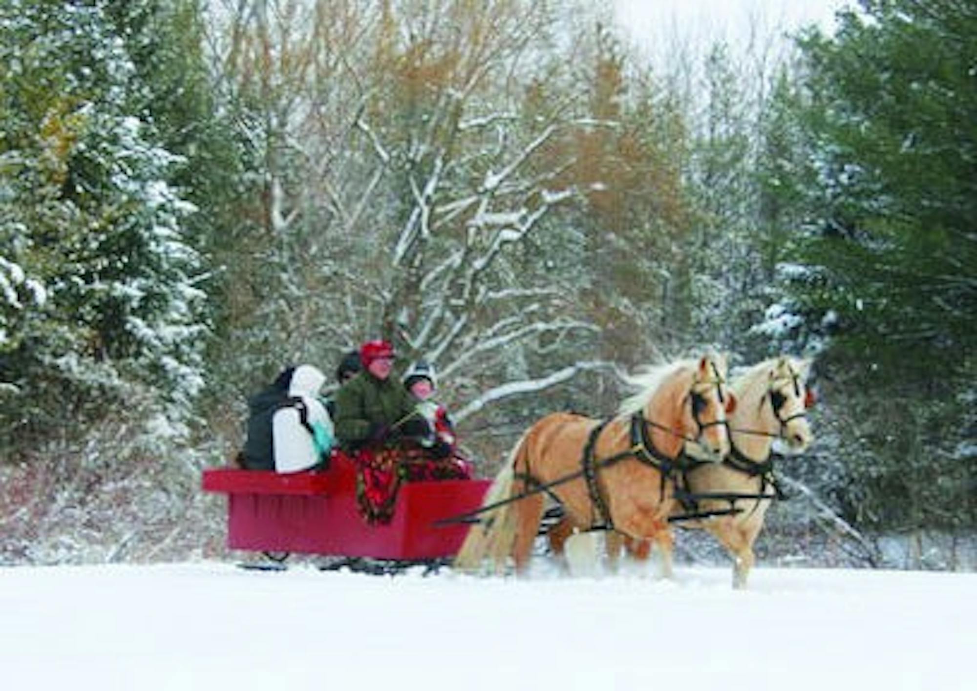 Sleigh rides at Rocking L Acres