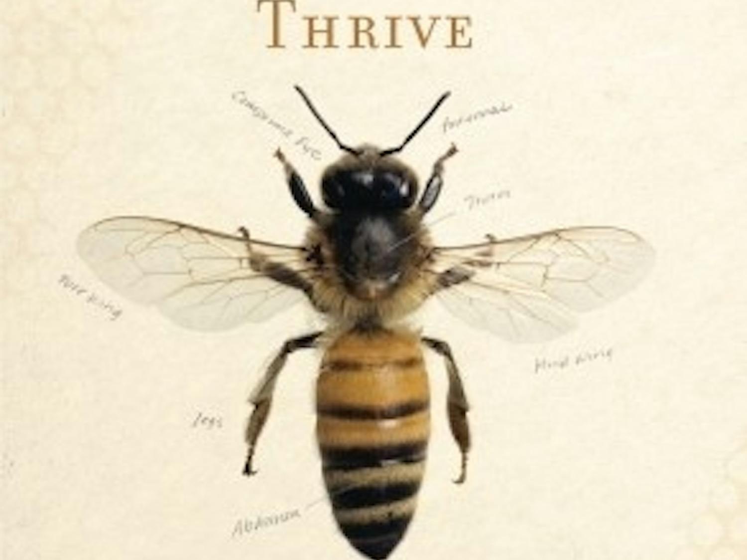 Swan defends the honeybee’s legitimacy against public indifference in her&nbsp;powerful new book.