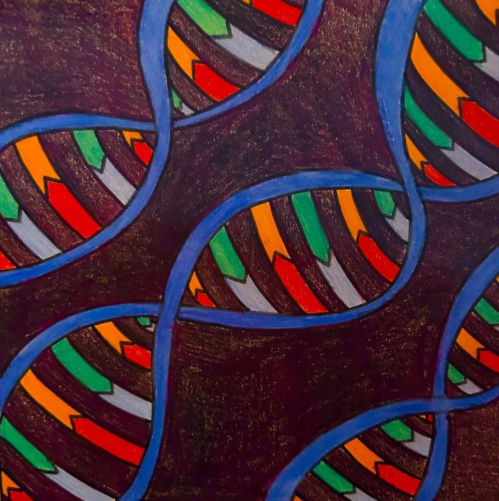 DNA STRAND Graphics Hailey Johnson.png