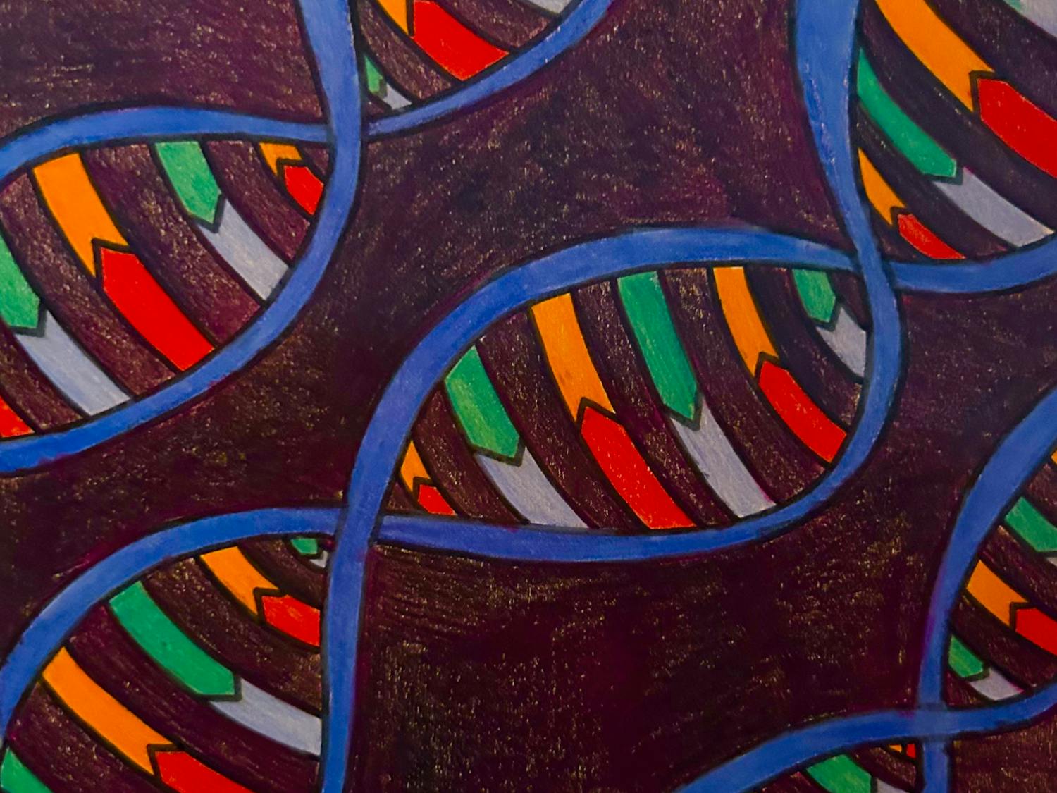 DNA STRAND Graphics Hailey Johnson.png