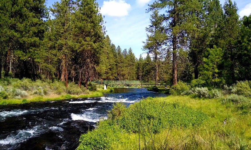 Former UW-Madison professor Aldo Leopold was a pioneer in the movement for wilderness conversation.
