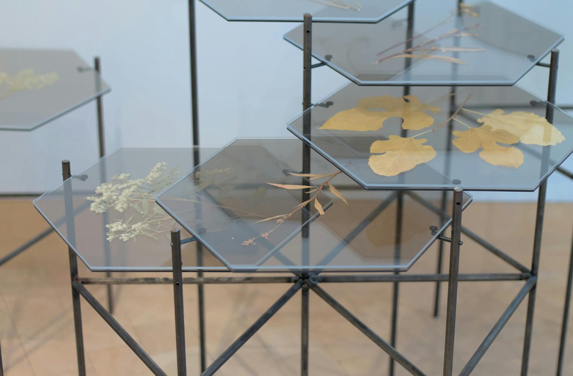 25-10-12_Li_Stephen Eat my Words-02.jpg