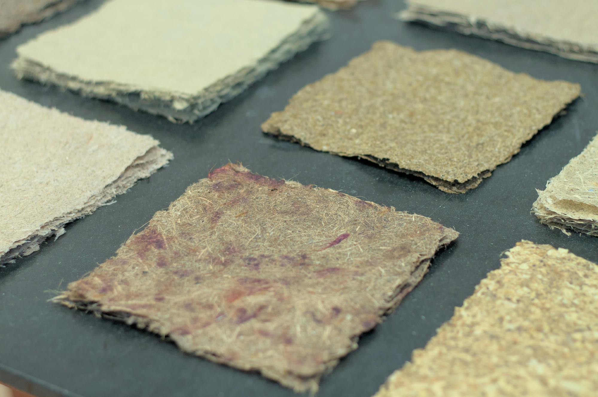 25-10-12_Li_Stephen Eat my Words-03.jpg