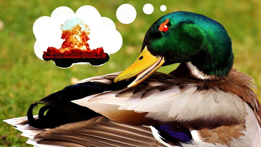 A local newly-superior mallard aspires to be the scourge of humanity.