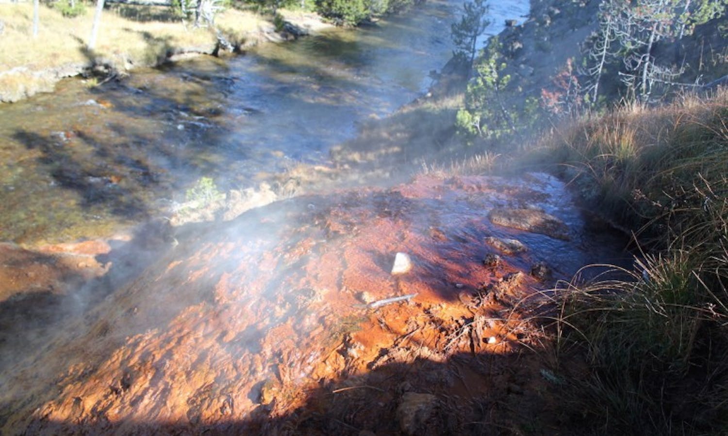 Geoscience researchers at UW-Madison made a major breakthrough in their study of bacteria at Yellowstone National Park.