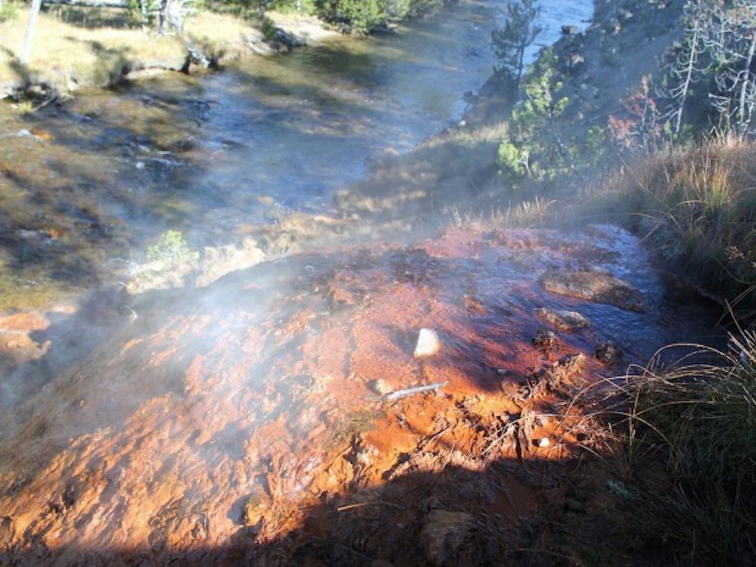 Geoscience researchers at UW-Madison made a major breakthrough in their study of bacteria at Yellowstone National Park.