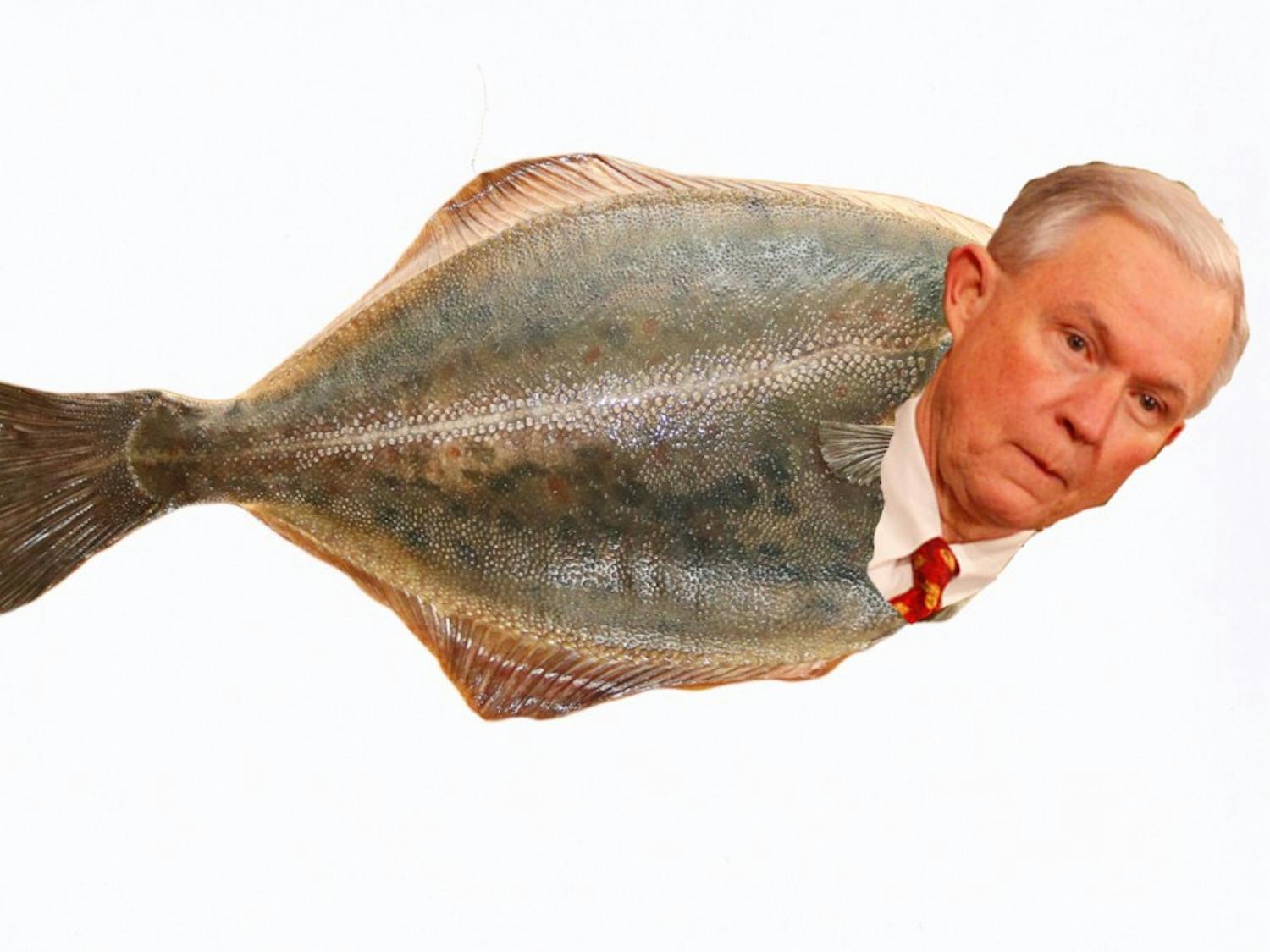 A.G. Sessions Fish