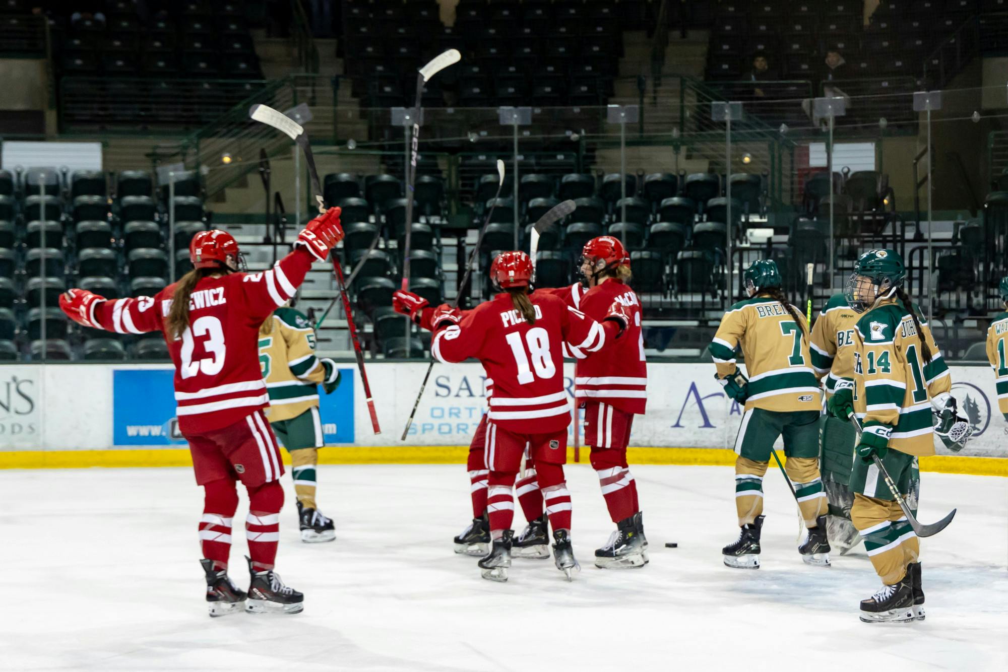 Women's Hockey vs Bemidji State Beavers