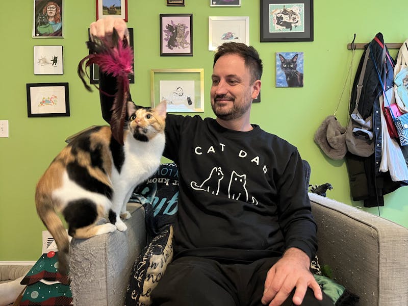 Sociology Professor Jason Nolen Celebrates Cats of Madison on Instagram